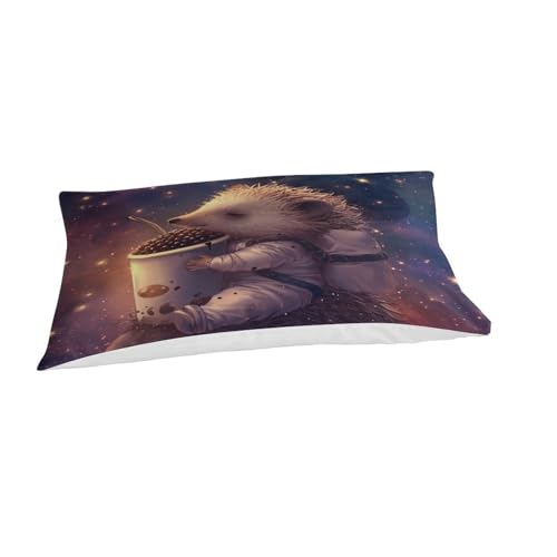 XJmoney Bettwäsche-Set für Kinder und Erwachsene, Astronauten-Igel, Bettbezug, einfacher Steppdeckenbezug und Geschenk, 3-teilige Bettwäsche, Leichter Bettdeckenbezug, Einzelbett (135 x 200 cm)