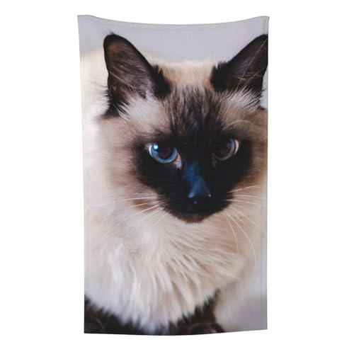 Haustier Pelztier Katze Bali, Überwurf für Couchstühle, warme Plüschdecke für Bettwäsche und Reisen, 76,2 x 127,7 cm