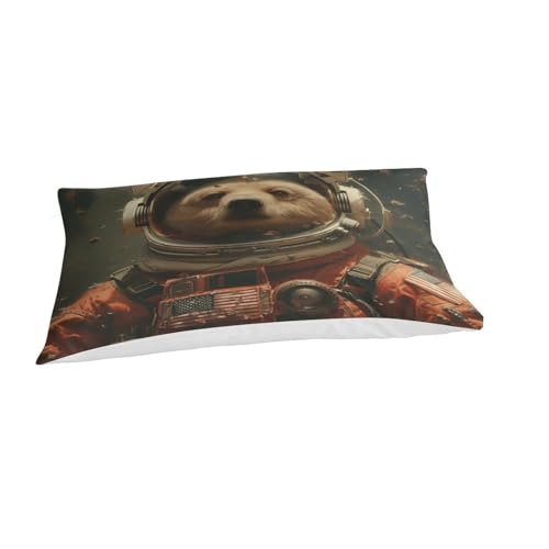 XJmoney Astronaut Bear Pflegeleichter Bettbezug, Kinderbettwäsche-Set, Leichter Steppbezug für Jungen, Tagesdecke, Bettdeckenbezug mit Einzelbett (135 x 200 cm)