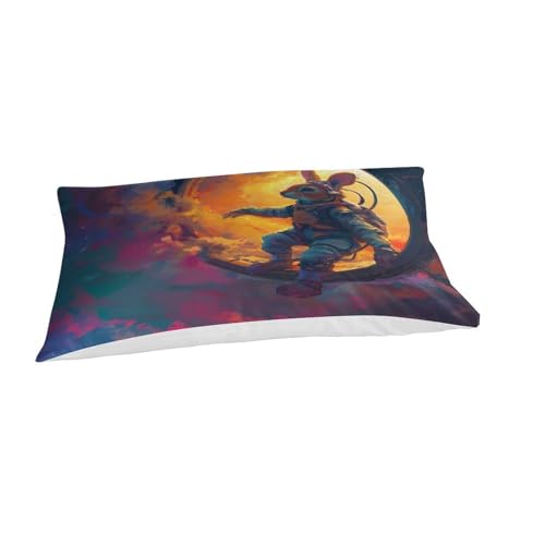 XJmoney Bettbezug mit Astronauten-Kaninchen, Kinderbettwäsche-Set, Leichter Bettbezug für Jungen, Tagesdecke, Bettbezug mit Reißverschluss, Bettwäsche, Einzelbett (135 x 200 cm)