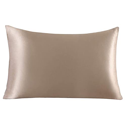 Seide Kissenbezug für Haar und Haut, Maulbeerseide Kissenbezüge mit Reißverschluss, Weicher Seidenkissenbezug für gesunde Bettwäsche, Apricot Seide Kissenbezug für Doppel-Kingsize-Bett, 51 x 66 cm, 1