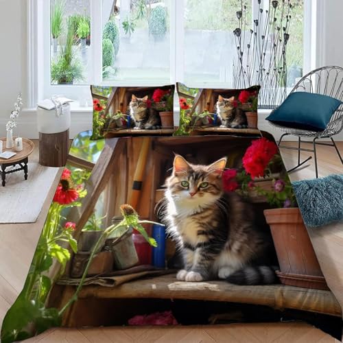 Hauskatzen Bettwäsche 135x200 Landhausstil 3D Bettbezug Weich Mikrofaser Bettwäsche-Sets 3 Teilig mit 2 Kissenbezüge 80x80 für Mädchen Jugendliche Einzelbett u.2479
