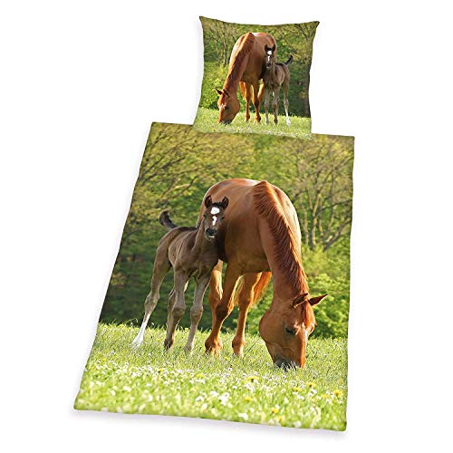Herding Young Collection Bettwäsche-Set, Pferde Motiv, Bettbezug 135 x 200 cm, Kopfkissenbezug 80 x 80 cm, Baumwolle/Renforcé