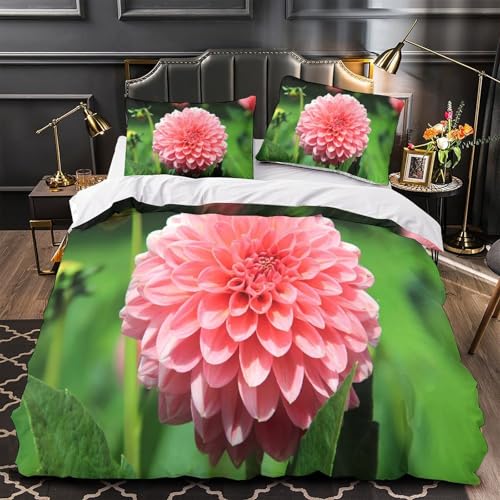 VOXYTMLWG Pink Poodle Trio 3D-Gedruckter Bettwäsche-Set dreiteiliger Zip Verschluss Vintage Salon Bettdeckenbezug Atmungsaktiv Kuschelig for Jungen,Teen Jungen,Frauen,Teenager Single?140x200cm?