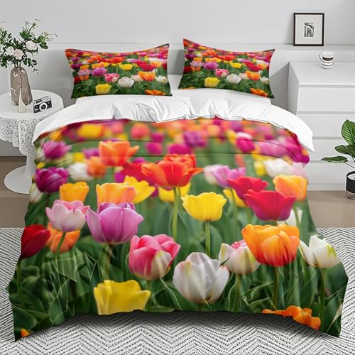 Bettdecke 155x220 Pink Zitronengelb Deckenbezug Bettwäsche 155x220 Weich Mikrofaser Bettwäsche Set Atmungsaktiv Bettdecken Angenehme Bettbezug mit Reißverschluss Bedding+2 Kissenbezug 80x80