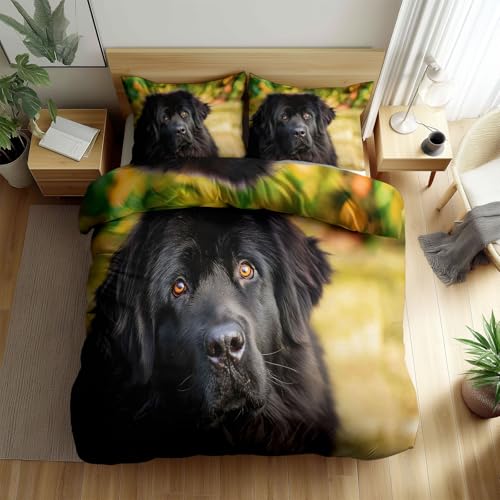 Srigzcaly Tiere Bettwäsche 200 x 220 cm HD Foto Neufundländer Hypoallergen Mikrofaser Bettbezug + 2 Kissenbezüge 80x80, 3 Teilig Deckenbezug mit Reißverschluss - Weich Atmungsaktiv Wendebettwäsche