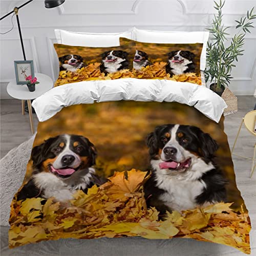 LUORU Kinder Jugendliche Bettwäsche 155x220 cm Flauschig Kuschelig Hypoallergen Betten Set Berner Sennenhund Schwarz-Weiß-Hund Bettwäsche Set 3 Teilig 100% Mikrofaser Bettwäsche Hund
