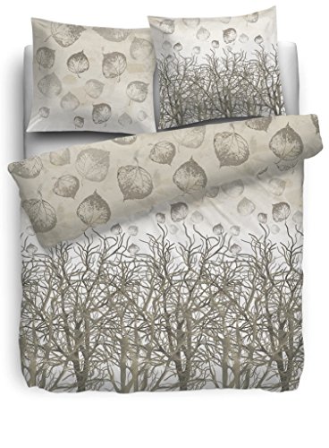 HNL Renforce Bettwäsche Fig 135/200+1x80x80 Naturel