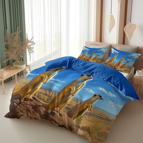 Srigzcaly DREI Erdmännchen Hd Foto Bettbezug 200X220 cm Hellblau Bettwäsche Set Weich Mikrofaser, Atmungsaktiv & Antiallergisch Mit Reißverschluss & 2 Kissenbezug 80X80Cm