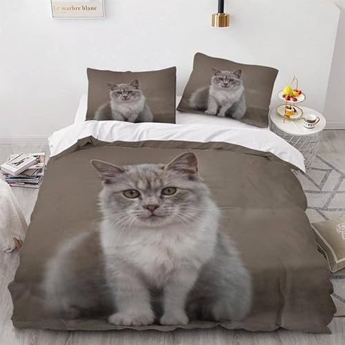 KLJFIGUT Bettwäsche 200x220 Katze Weiche Mikrofaser Bettbezug mit Reißverschluss, Atmungsaktive Bettbezüge und 2 Kissenbezug 80x80 für Kinder Erwachsene Jugendliche