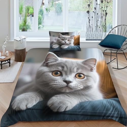 Britisch-Kurzhaar-Katze Bettlaken Für Erwachsene Kinder Jugendliche,3D Bedruckte Mikrofaser 2 Stück Bettbezug Set Mit Reißverschluss, Pflegeleichte Blaue Katze Bettwäsche Einzeln?135x200cm? Bettdecken
