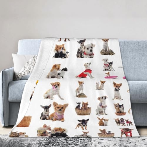 WOPQS Süße Chihuahua-Mops-Muster, ultraweiche Micro-Fleece-Decke, warme Decke, Bettlaken, Sofa, Bett, Überwurf, Heimruhe Bettwäsche