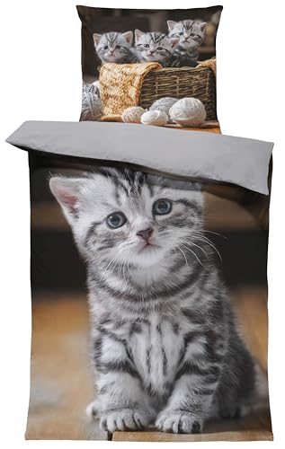 one-home Bettwäsche 135x200 cm Mikrofaser Bettbezug Fotodruck modern weich und kuschelig knitterfrei für Sommer und Winter geeignet, Farbe:Katzen grau, Größe:2 teilig 135x200 cm