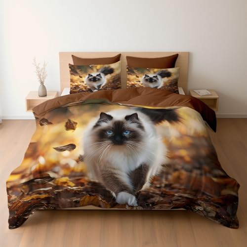 Bettwäsche Set 155 x 220 cm mit Kissenbezügen 2 x 80 x 80 Tier Katze Blaue Augen Ragdoll-Katze Design, Mikrofaser Bettbezüge mit Reißverschluss, Weich und Bügelfrei, Schokoladenbraun