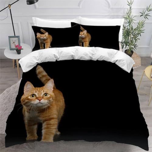 Bettwäsche 155x220 Orange Katze Weich Mikrofaser Niedliche Tiere Bettwäsche-Sets 3D Bettbezug 3 Teilig Bettbezüge mit Reißverschluss und 2 Kissenbezüge 80x80 A-1369