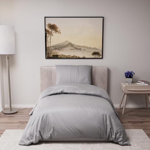 Dreamzie - Bettwäsche Set 135x200 cm mit 1 Kissenbezügen 50x70 cm Anthrazit - Bettbezug 135x200 Einzelbett aus 100% Mikrofaser - Zertifiziert ohne Chemikalien (Oeko TEX)
