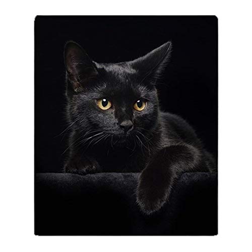 YISUMEI Decke 150x200 cm Kuscheldecken Sanft Flanell Weich Fleecedecke Bettüberwurf Schwarze Katze