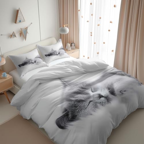 Srigzcaly Bettwäsche Set 200x200 cm Tier Britisch Kurzhaar Katze HD Foto Weiche Microfaser Bettbezug Set für Jungen Mädchen, Grau Betten Set mit Reißverschluss und Kissenbezüge