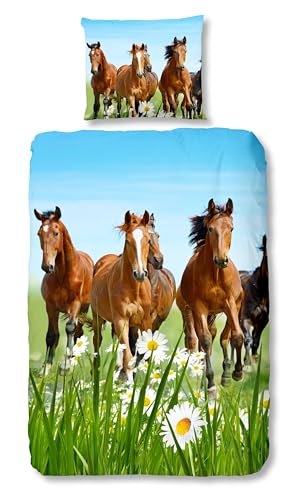 Traumschloss Renforcé Bettwäsche »Horses«, Pferde, Wiese, grün, 135x200 & 80x80, 100% Baumwolle, atmungsaktiv & weich, Kinderbettwäsche-Set mit Reißverschluss bestehend aus Kissen und Bettbezug