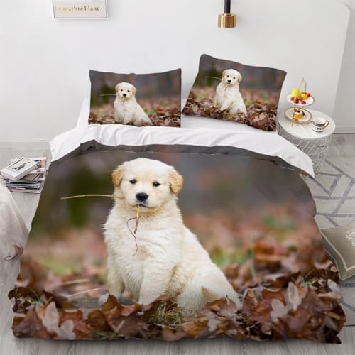 Golden Retriever Bettwäsche 155x220 Hund Bettwäsche-Sets für Kinder Jungen Bettbezug Set 3D Druck Bettbezüge Weiche Mikrofaser mit Reißveschluss und 2 Kissenbezüge L.1788
