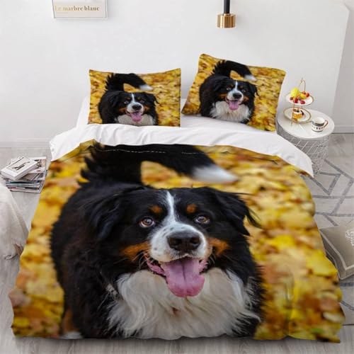 Berner Sennenhund Bettwäsche 200x200 Goldenes Herbstlaub Bettwäsche-Sets Bettbezug Set 3D Druck Bettbezüge Weiche Mikrofaser mit Reißveschluss und 2 Kissenbezüge L.893