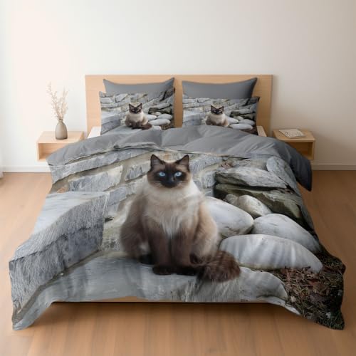 Bettwäsche 200 x 200 cm 3-teilig – Bettwäsche Set Grau mit Bettbezug und 2 Kissenbezügen 80x80 cm, Wendebettwäsche Elegante Siamkatze Treppen Bettbezug mit Reißverschluss