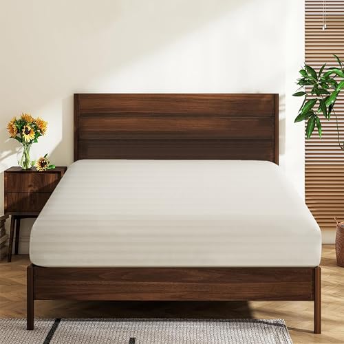 Spannbettlaken für Queensize-Betten aus 100 % ägyptischer Baumwolle, Fadenzahl 600, 40,6 cm tiefe Tasche, ultraweiche, luxuriöse Haptik wie im Hotel, strapazierfähig, atmungsaktiv und bequem (1 Stück