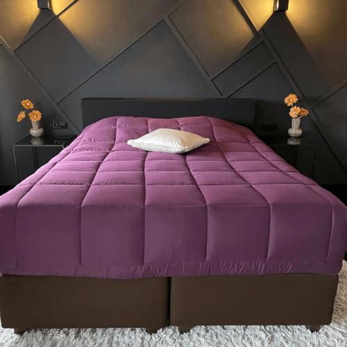 Zelesta Easybed 4-Jahreszeiten Bettdecke ohne Bezug – Bettwäsche für Winter und Sommer, warm, Daunen, waschbar, ohne Bezug (Flieder & Anthrazit, 160 x 220 cm)