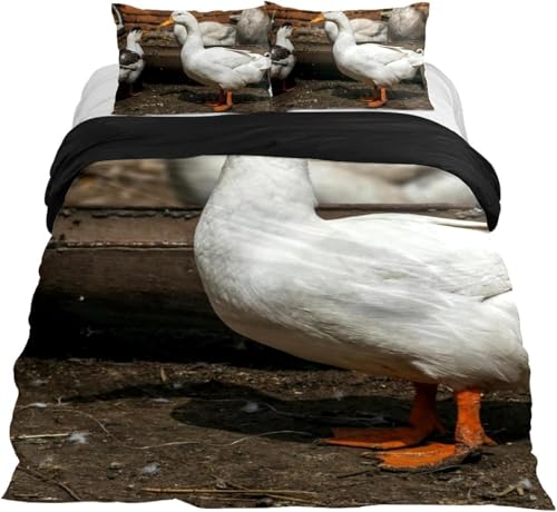 PUOJIEAT Bettwäsche 155x220 Bauernhof-Ente Weich Mikrofaser Bettwäsche-Sets Wende-Landhaus Bettbezug mit 2 x Kissenbezug 80x80 cm 3D Bettzeug Set e.5720