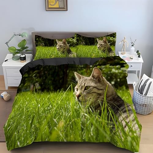Bettwäsche 200x200 GrüNe Katze Bettwäsche Set 3 Teilig Tier Muster Bettbezug für Erwachsener, Microfaser Weich Warm Bettbezüge und 2 Kissenbezug 80x80 cm, mit Reißverschluss
