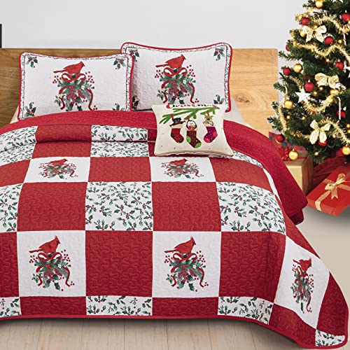 DJY Weihnachts-Steppdecken-Se t für Doppelbett, rote Kardinäle, Beerenmuster, Bettwäsche, weiß, rot, kariert, Patchwork-Tagesdecke, Überwurf, weiche Mikrofaser, leicht, Feiertags-Weihnachts-Step pdecke