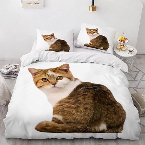 KLJFIGUT Bettwäsche 200x200 Katze 3 Teilig Mikrofaser Bettbezug für Kinder Jugendliche - Wendemotiv Bettbezüge mit Reißverschluss + 2 Kissenbezug 80x80 cm