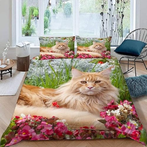 KLJFIGUT Bettwäsche 200x220 Katze Weiche Mikrofaser Bettbezug mit Reißverschluss, Atmungsaktive Bettbezüge und 2 Kissenbezug 80x80 für Kinder Erwachsene Jugendliche