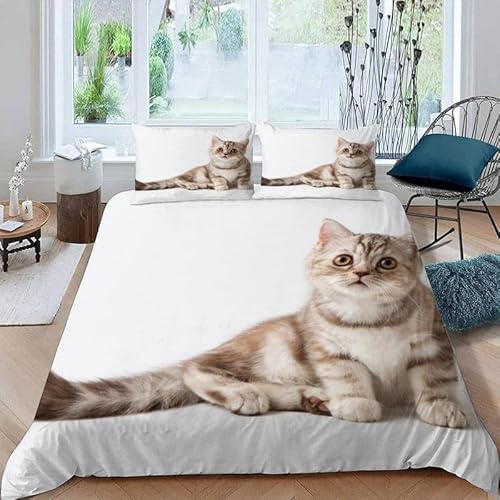 KLJFIGUT Bettwäsche 155x220 Katze Weiche Mikrofaser Bettbezug mit Reißverschluss, Bettwäsche-Sets für Kinder - 1 Bettbezüge und 2 Kissenbezüge 80x80 cm